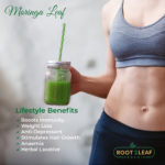 Benefits of Moringa Leaf Powder