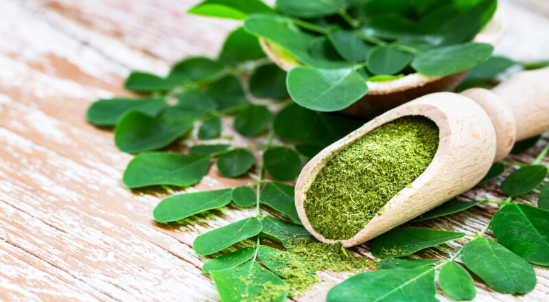 10 Reasons Why You Should Be Taking Moringa Powder