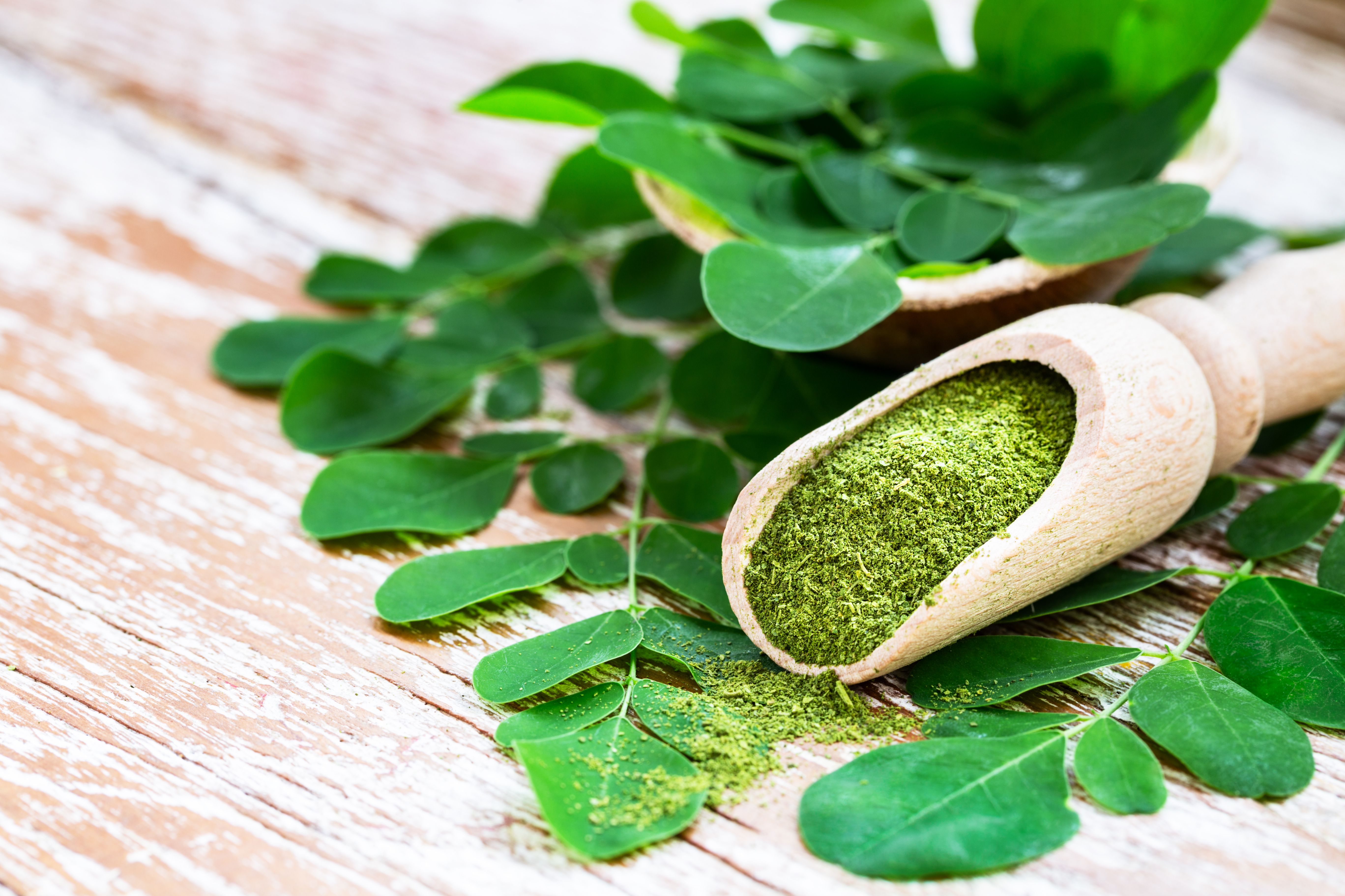 10 Reasons Why You Should Be Taking Moringa Powder